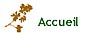 Accueil