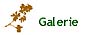 Galerie