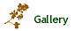 Galerie
