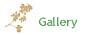 Galerie