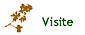 Visite