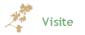 Visite